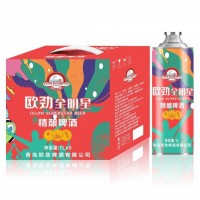 中秋送禮精釀白啤禮盒裝 啤酒廠家代理商加盟